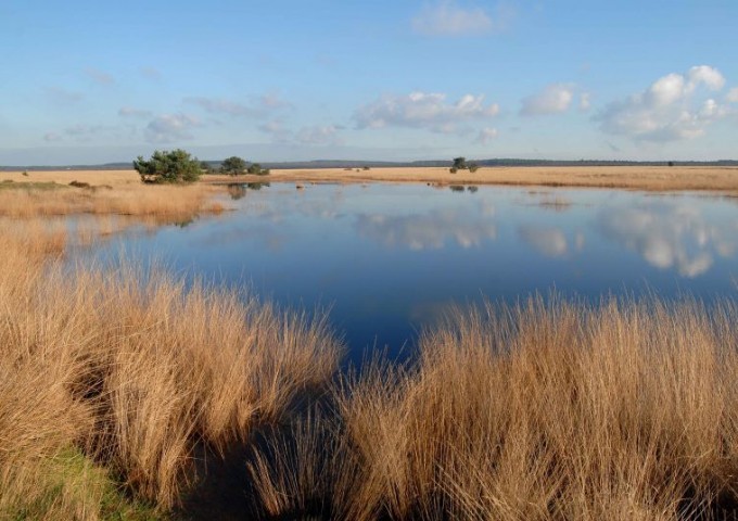 Delense veld Flessen